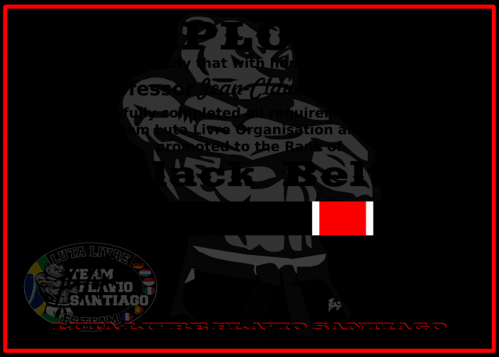 Black belt · June 5, 2017 · Promoted by Flavio "peroba" Santiago