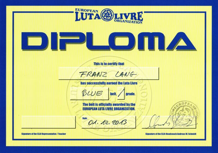 Blue belt · December 1, 2013 · Promoted by Andreas Andyconda Schmidt