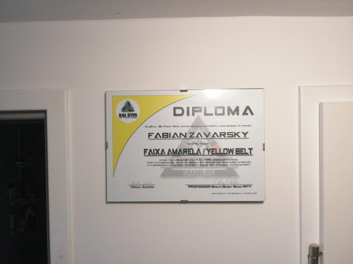 Yellow belt · May 10, 2019 · Promoted by Boban Bobby Bozic