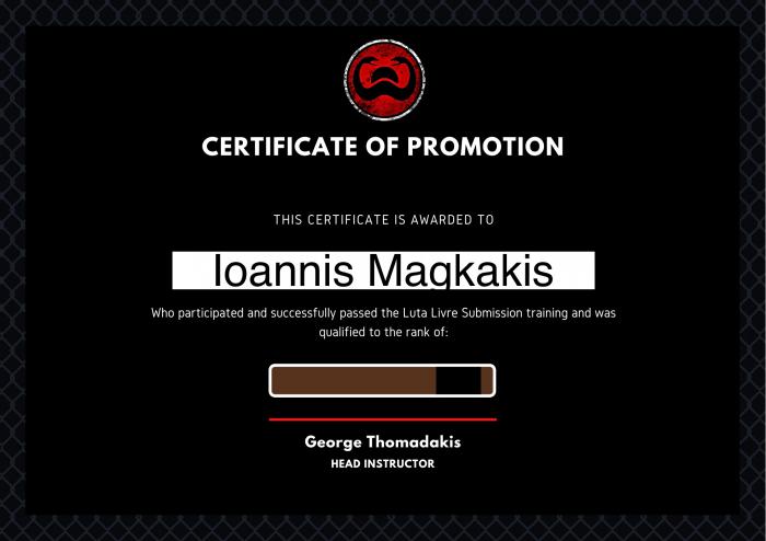 Brown belt · July 31, 2019 · Promoted by Sombra