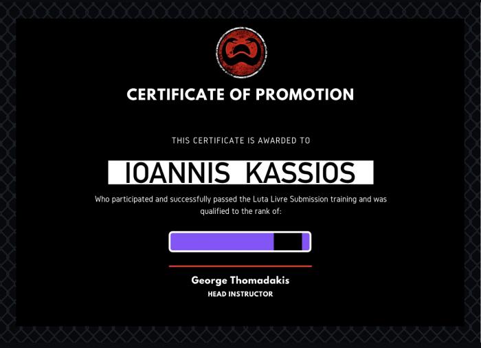 Purple belt · January 1, 2014 · Promoted by Sombra