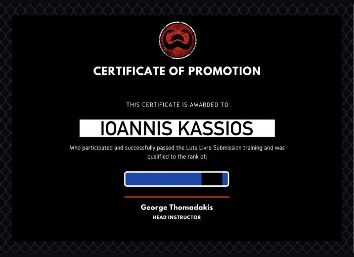 Blue belt · January 1, 2011 · Promoted by Sombra