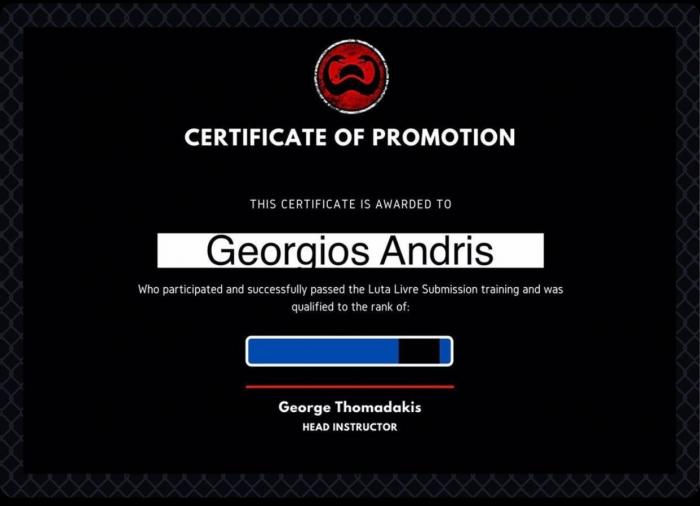 Blue belt · June 12, 2016 · Promoted by Sombra