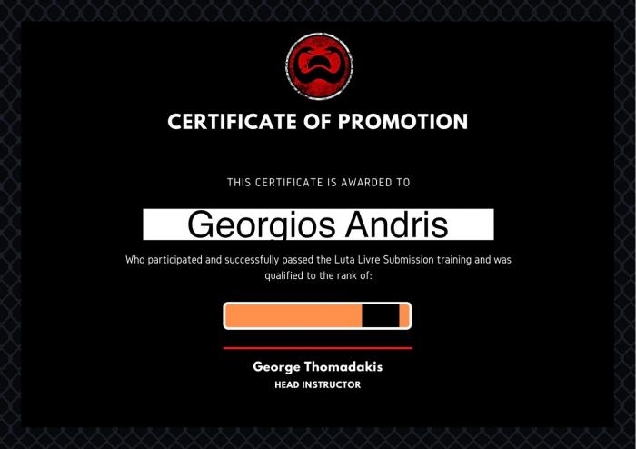 Orange belt · April 1, 2014 · Promoted by Sombra