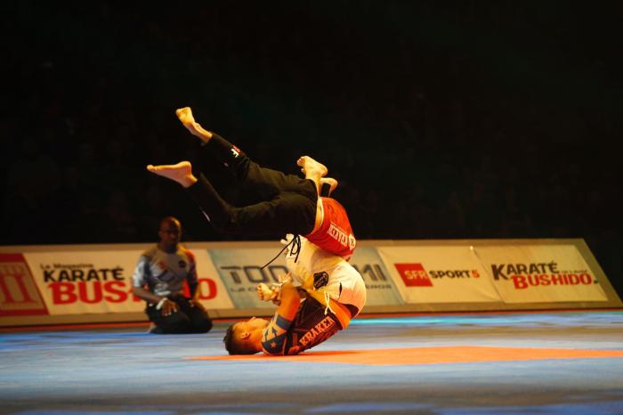 Festival des arts martiaux 2