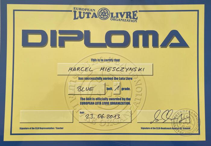 Blue belt · June 3, 2013 · Promoted by Andreas "Andyconda" Schmidt