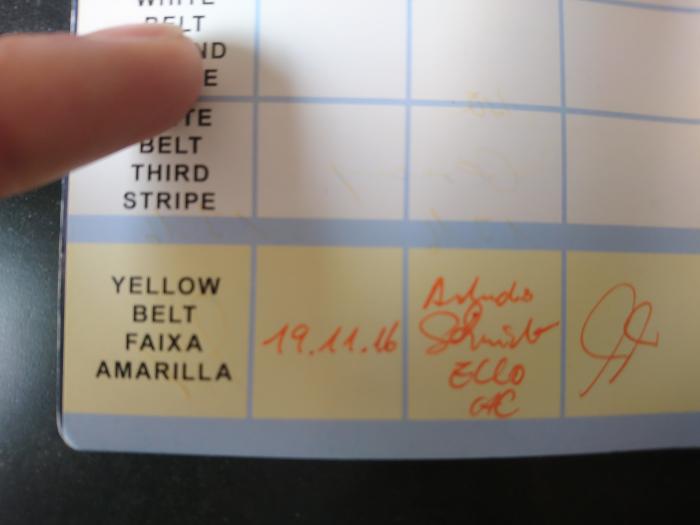 Yellow belt · November 19, 2016 · Promoted by Andreas Schmidt